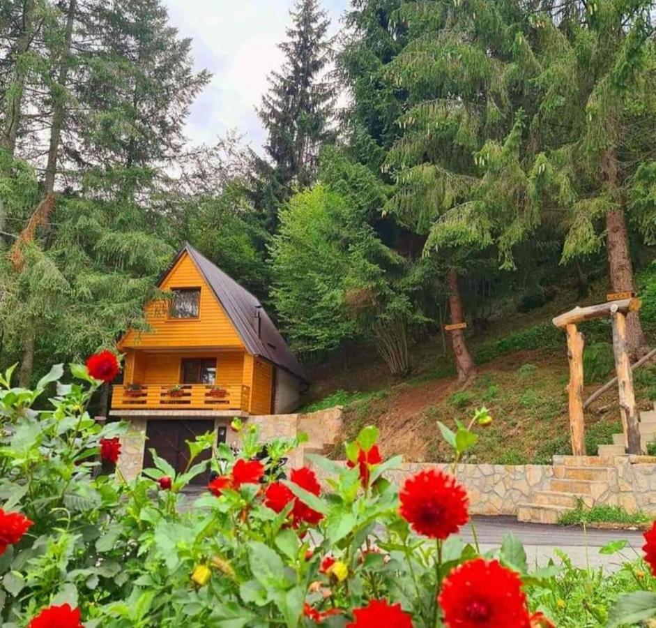 Etno Selo Bistrovo Apartman Vitez Kültér fotó